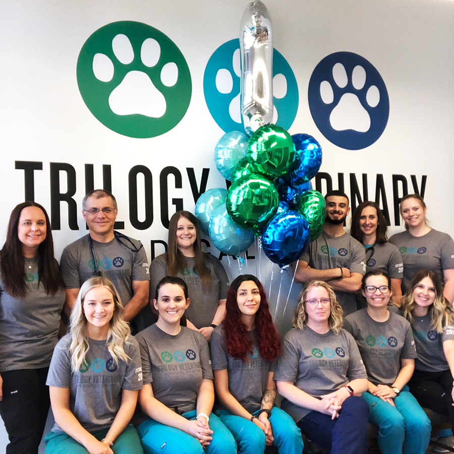 Meet the Trilogy Staff